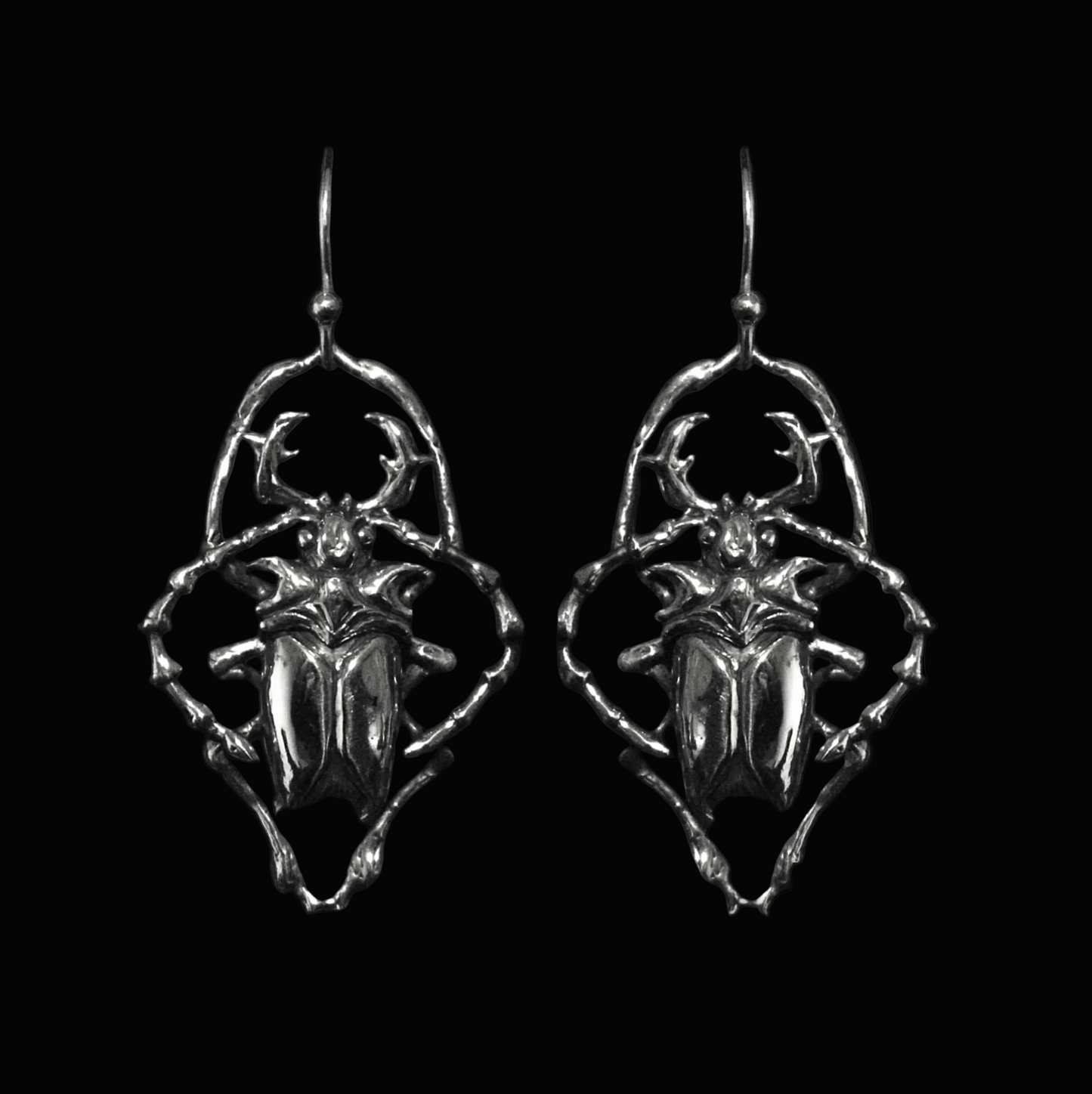 ✥hanging beetles✥