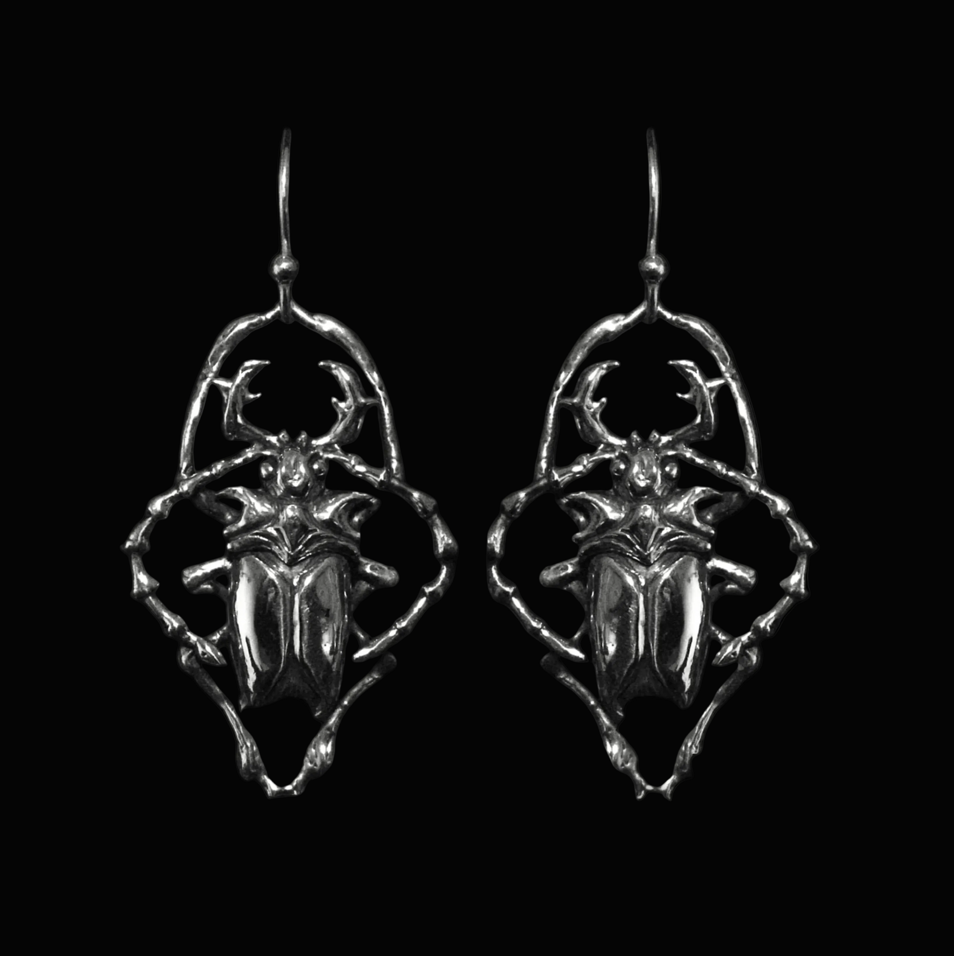 ✥hanging beetles✥