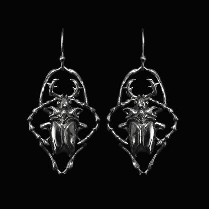 ✥hanging beetles✥